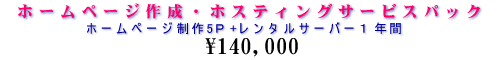 �z�[���y�[�W�쐬�E�T�[�o�[�����^��\149,800