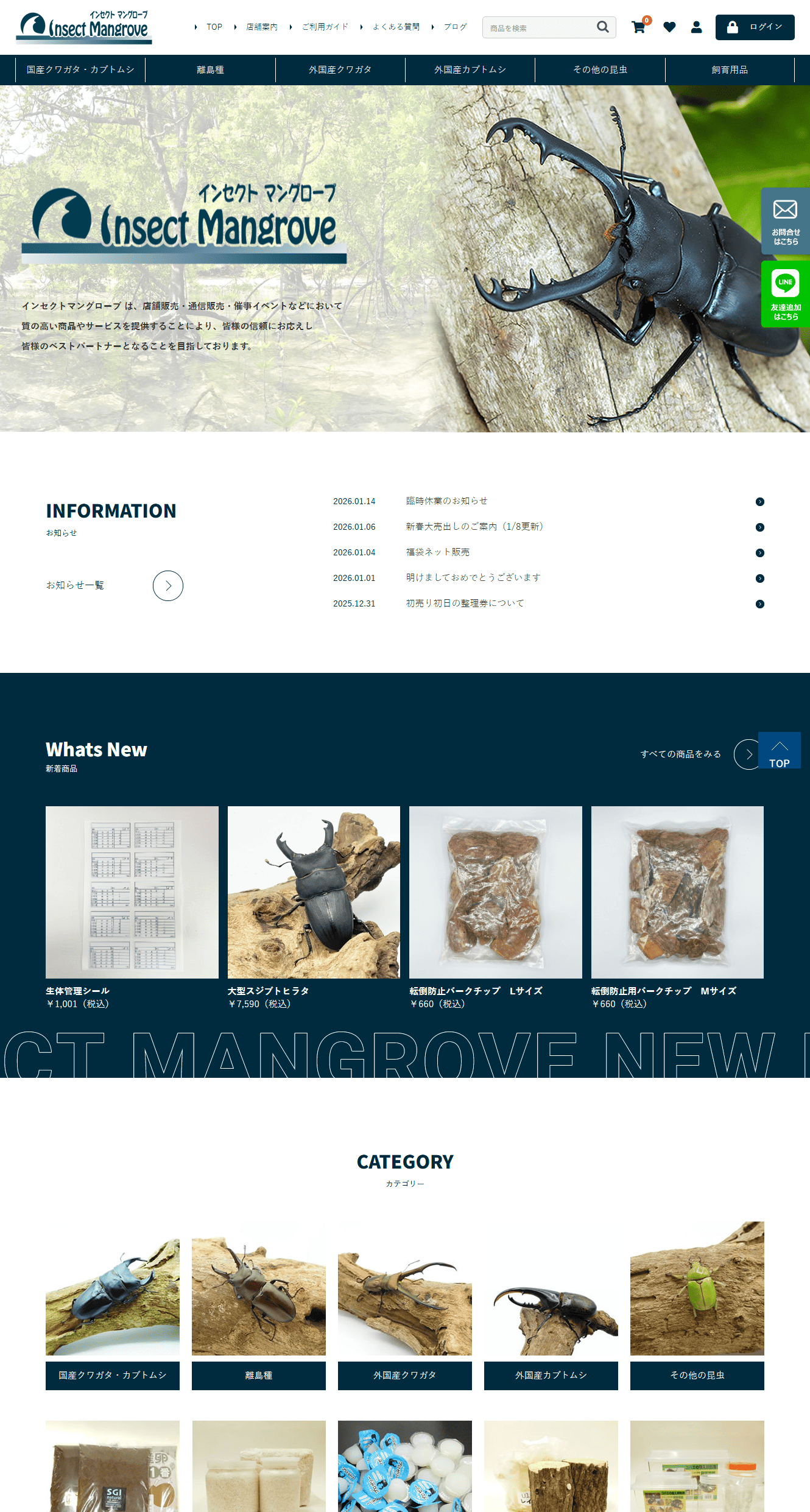 インセクトマングローブ様　ホームページ制作実績　TOPぺージ前半